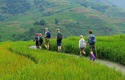 Trekking Tours In Sapa